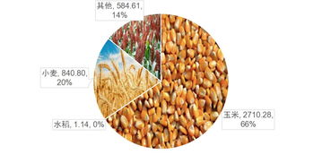 中国农业地图大数据 加工谷物产品发展现状与未来趋势