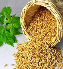 燕麦绿豆黑米 高纤食品与加工谷物产品对生育力的潜在影响探讨