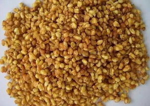 苦荞 田野里的诗意与营养瑰宝