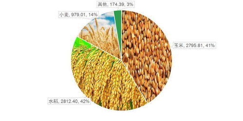 实用指南 中国最全农业大数据之谷类作物应用